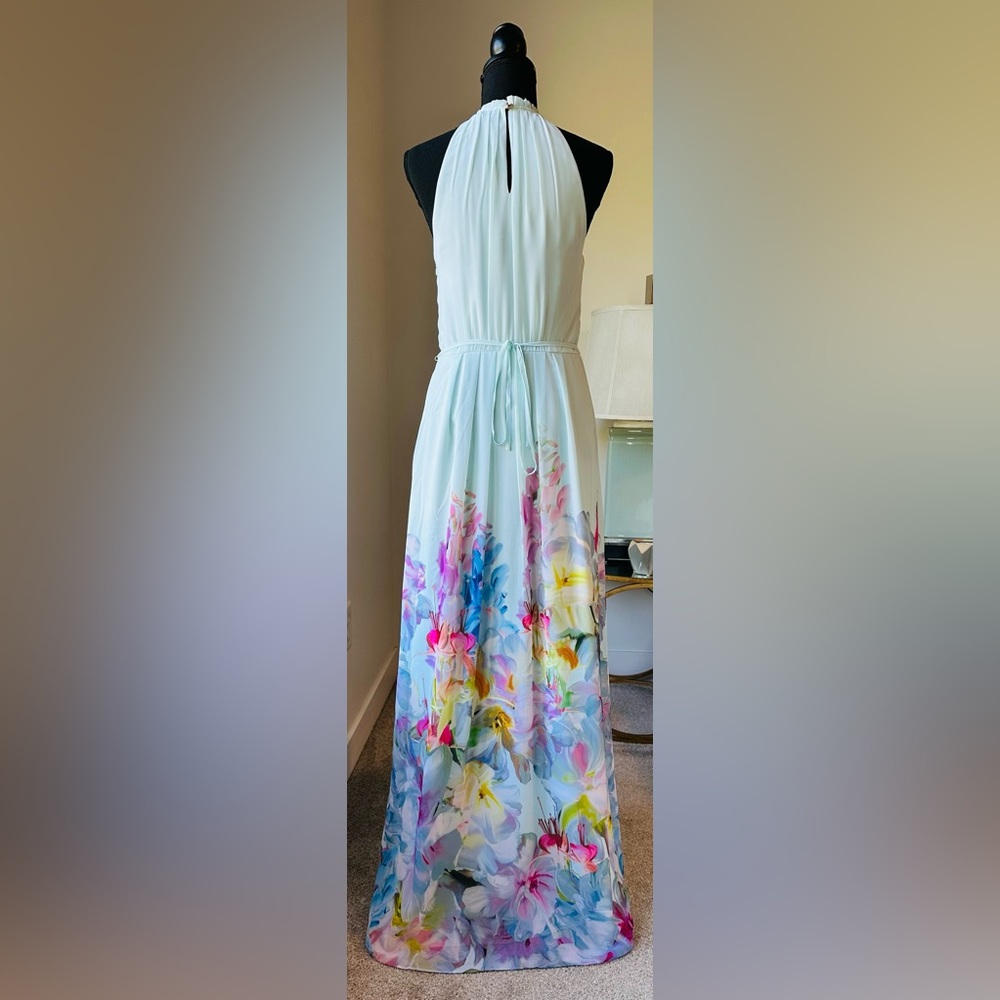 Ted Baker Maxi Dress - Picture 6 of 9